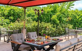 Ibis Bursa